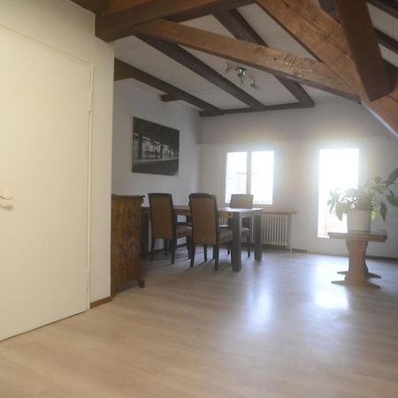 Appartements Am Bodensee Naehe Konstanz Ermatingen Buitenkant foto